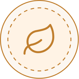 decorative feature icon used with the Maheshwari Handloom section