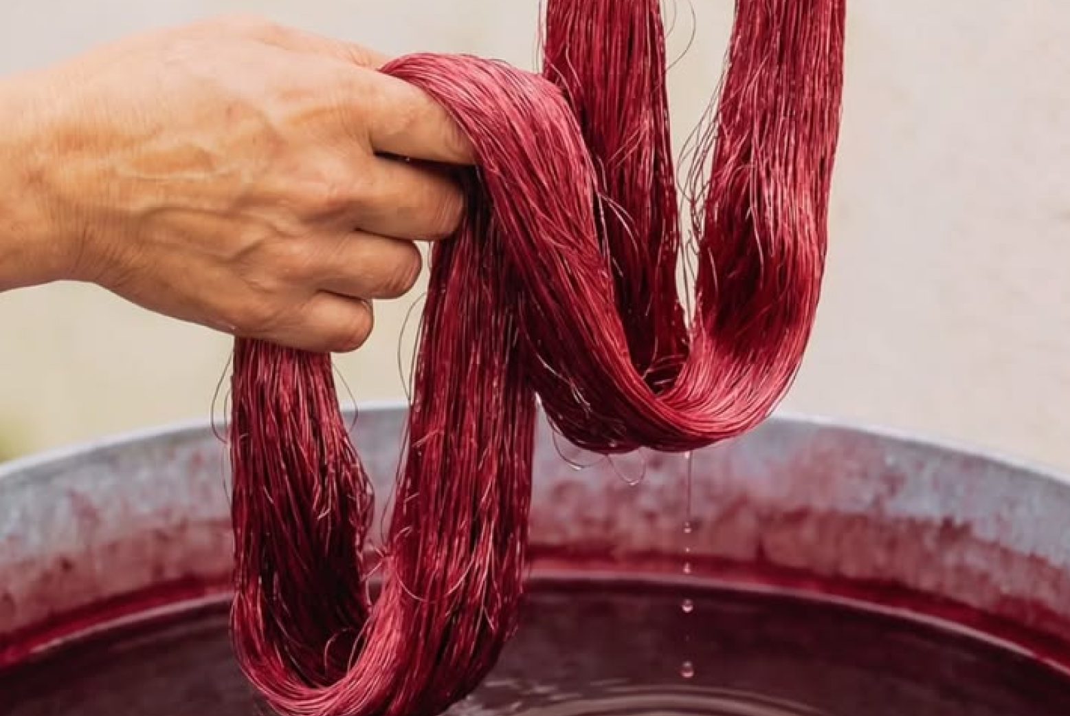 Red dyed yarn being lifted from a dye bath during textile preparation