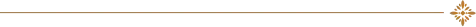  decorative horizontal divider