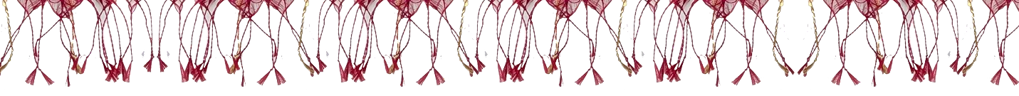 Decorative ornamental pattern 